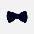 Bow tie